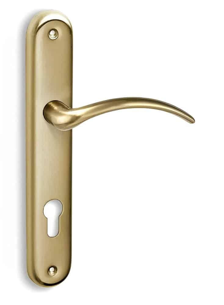 Πόμολο Πόρτας Πλάκα Χρυσό-Ματ C795