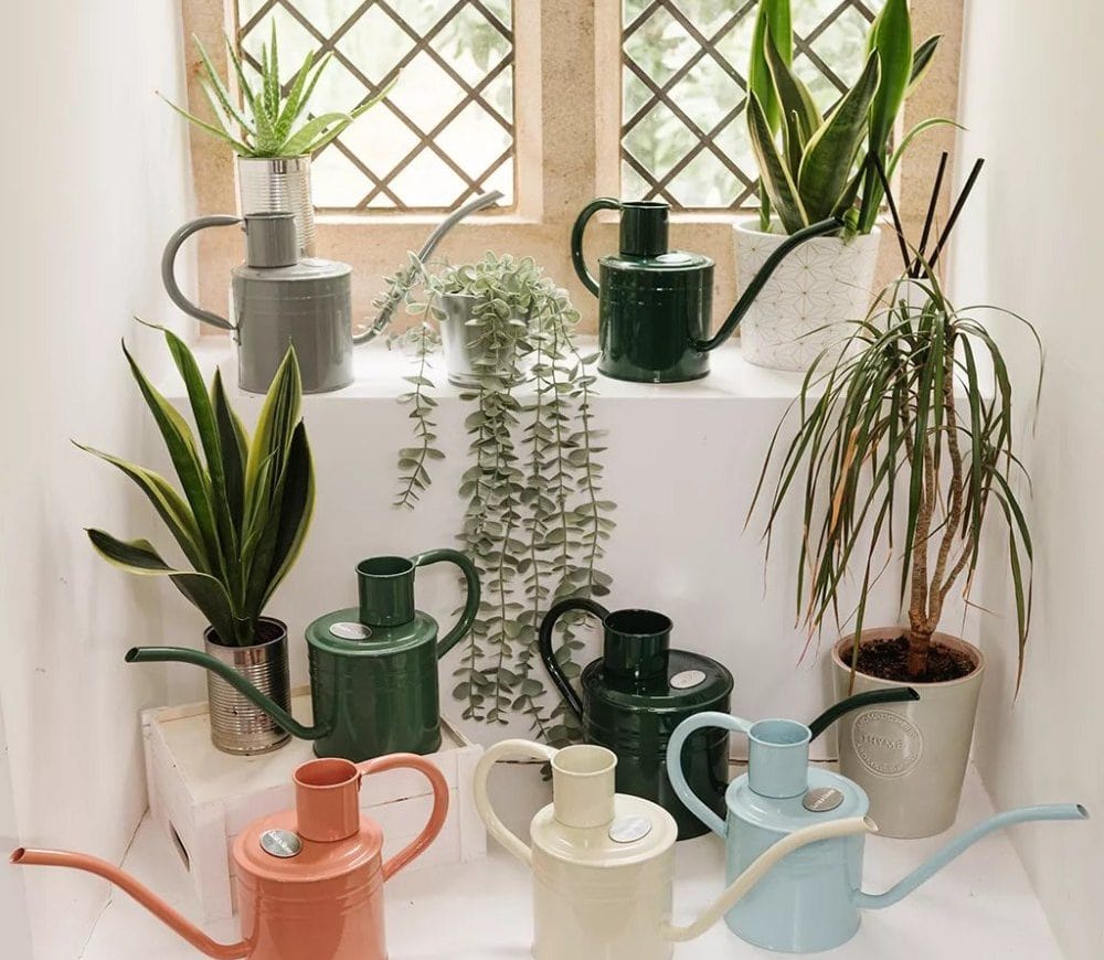 Τα 5 Καλύτερα Φυτά Εσωτερικού Χώρου για Απορρόφηση Ρύπων Τα 5 Καλύτερα Φυτά Εσωτερικού Χώρου για Απορρόφηση Ρύπων, Ανακαλύψτε τα καλύτερα φυτά εσωτερικού χώρου για απορρόφηση ρύπων, όπως το σπαθίφυλλο, ο φίκος Μπέντζαμιν και η αλόη. Μάθετε πώς αυτά τα φυτά μπορούν να βελτιώσουν την ποιότητα του αέρα στο σπίτι σας, απορροφώντας τοξίνες και ρύπους, ενώ προσθέτουν αισθητική αξία στον χώρο σας.